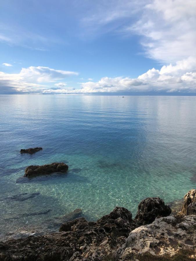 Apartment Luce Poreč Zewnętrze zdjęcie